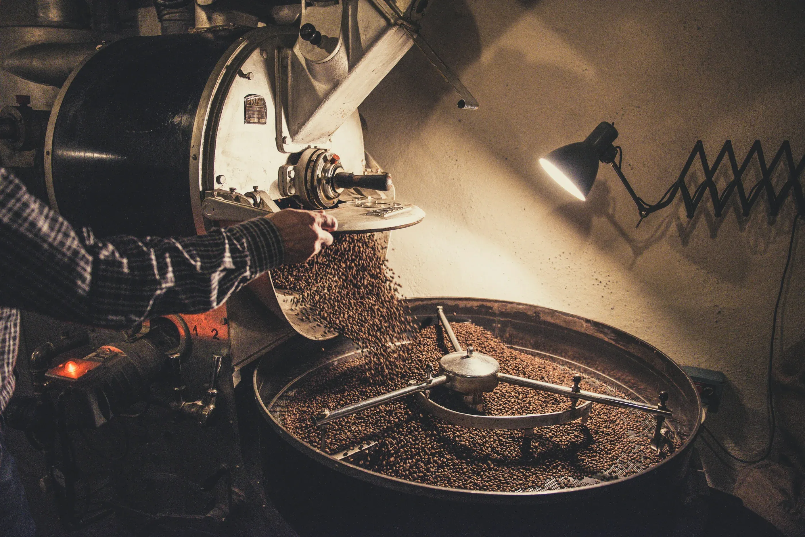 Vers gebrande koffiebonen stromen uit de brandmachine