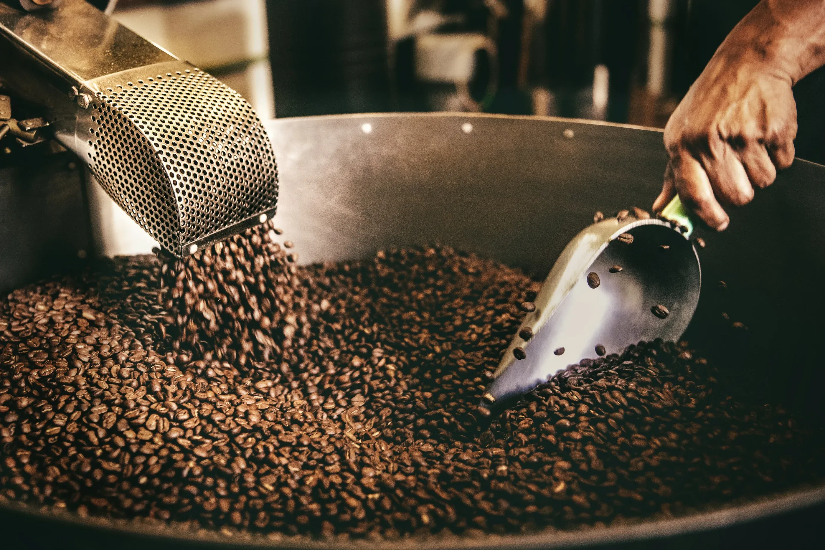 Een schep vol vers gebrande koffiebonen